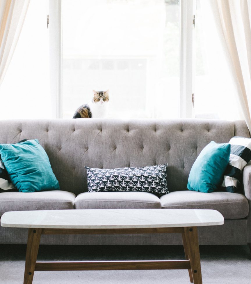 simple living room with sofa and cat at the back